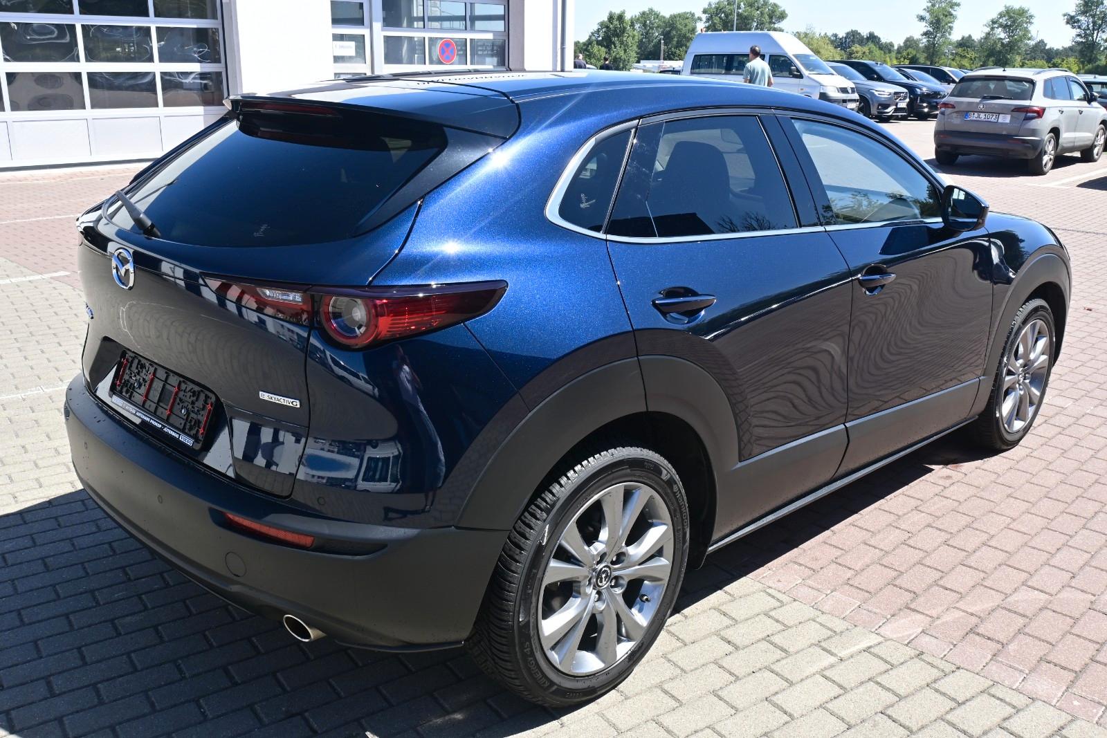 Mazda CX-30 Takumi *ACC*360*HUD*LEDER*LED*BOSE*ALLWETT