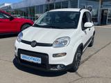 Fiat Panda 1.0 Hybrid City Life - Fiat Panda in Chemnitz