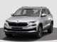 SKODA Karoq AHK NAVI LED 4xSHZ SideAssist 5J Garantie