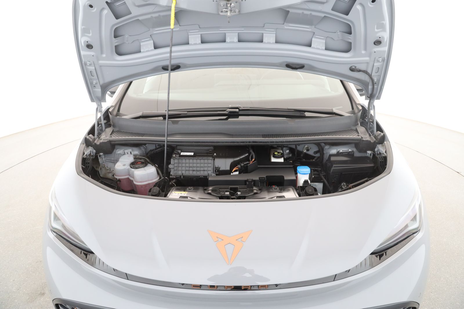 Cupra Born - Bild 9