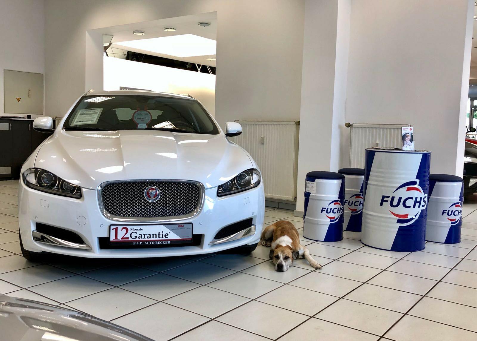 showroom-image-main