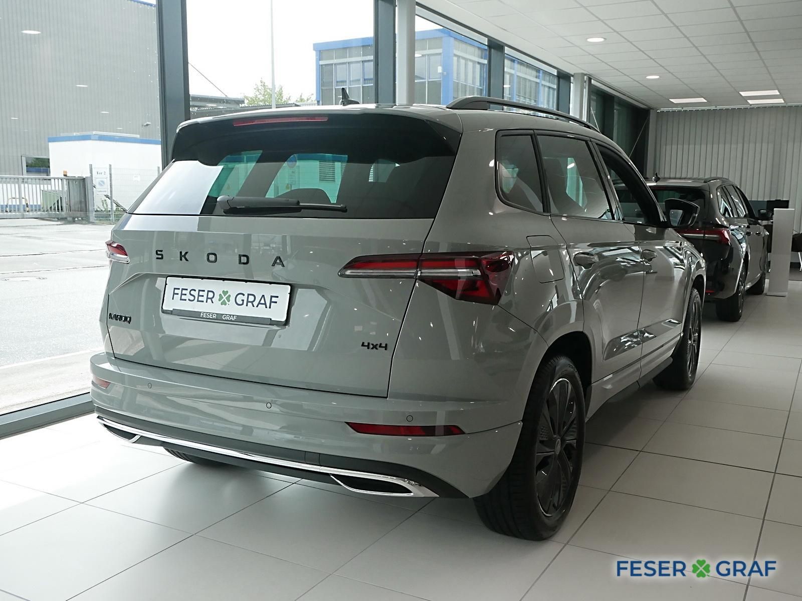 Skoda Karoq - Bild 3