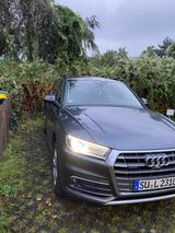 Audi Q5 2.0 TDI 140kW S tronic quattro design design - Audi in Bonn: Q1