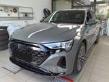 Audi Q8 advanced 50 e-tron quattro B&O Matrix Lu - Audi Q8: Advanced