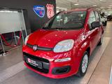 Fiat Panda Pop - Fiat Panda aus 2014