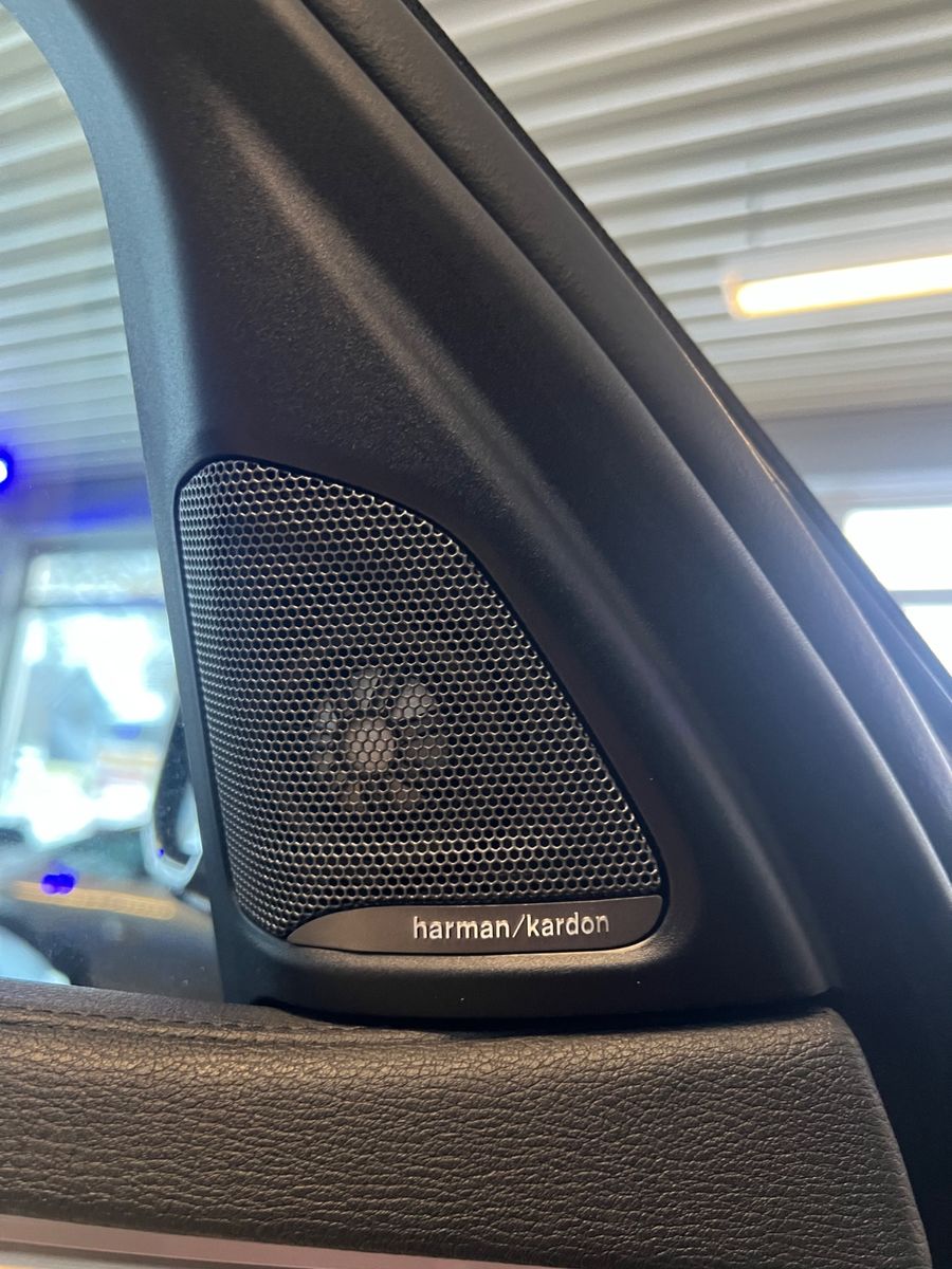 Fahrzeugabbildung BMW X6 xDrive 40 d M Sport Paket *Soft*Schiebedach*