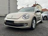 Volkswagen Beetle CLUB BMT SHZ + PDC + PANO - Volkswagen Beetle: Kleinwagen