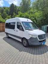 Mercedes-Benz Sprinter Tourer 906 AC 35 - Mercedes-Benz Sprinter: 906
