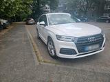 Audi q5 2019 quattro 3xS Motor 2.0.ps 29500 - Audi Q5: Ps