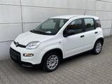 Fiat Panda 1.0 Mild Hybrid  Base Klima DAB - Fiat Panda: Limousine