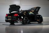 Ford GT Shelby GT500-H Hertz | 1 of 5 | 2890 km | Exe - Ford: 289
