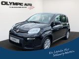 Fiat Panda 1.0 Hybrid Firefly KLIMAANLAGE CITY CRUISE - Fiat Panda: Fire
