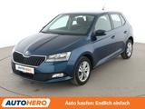 Skoda Fabia 1.0 TSI Ambition*LIMITER*PDC*SHZ*BLUETOOTH - Skoda Fabia Gebrauchtwagen in Stuttgart