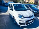 Fiat Panda 1.0 FireFly S&S Hybrid Easy - Fiat Panda EASY mit Hybrid-Antrieb (Benzin/Elektro)