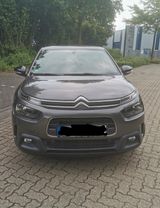 Citroën C4 Cactus PureTech 110 S&S Feel Feel - Citroën C4 Cactus von privat