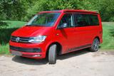 Volkswagen T6 California Beach Edition inkl. Möbelausst. - Volkswagen T6 California in Hamm
