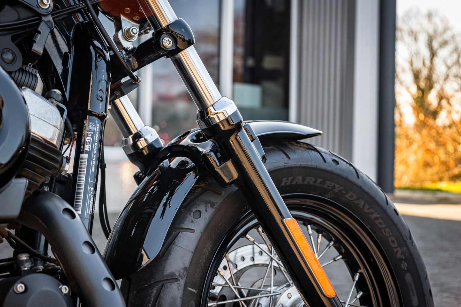 Fahrzeugabbildung Harley-Davidson XL1200X SPORTSTER FORTY-EIGHT - Remus -