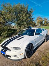 Ford Mustang CS/GT 5,0 - Ford in Erfurt