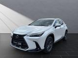 Lexus NX 350h h 243 PS Executive Inter ieur +Techno Pk - Lexus NX-Serie Neuwagen