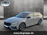 Skoda Octavia 4x4 Combi RS 2,0l TDI 147kW 7-Gang autom
