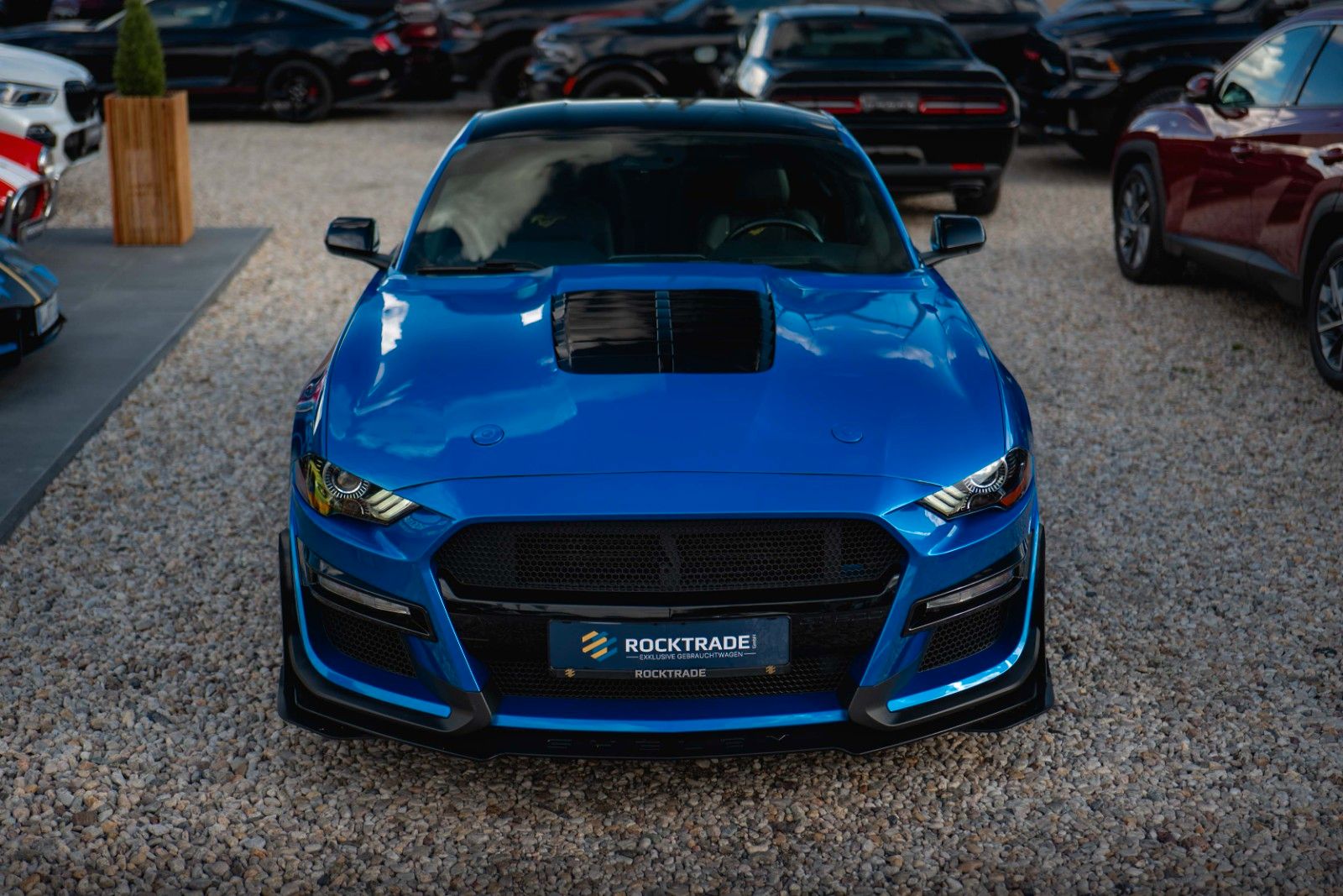 Fahrzeugabbildung Ford Mustang Shelby GT 500 Coupe Performance LED
