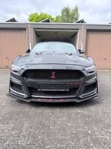 Ford Mustang 3,7 V6 Shelby  - Ford: Shelby