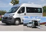Fiat Ducato L2 H2/ Luxusbus/Rampe/Flexboden/9 Sitzer - Fiat: Lux