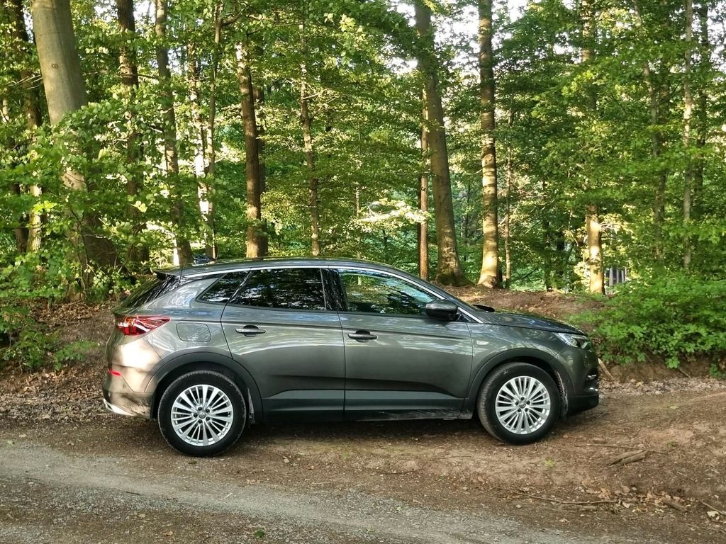 Image of Opel Other
