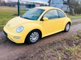 Volkswagen New Beatle 1.9 TDI 101 Ps 157tk... - Volkswagen Golf aus 2003: TDI