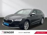 Skoda Octavia Combi SCOUT 1.5 TSI eTEC Matrix Panorama - Skoda Octavia mit Benzin-Antrieb: Scout