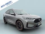 Ford Kuga 1.5 EcoBoost ST-LINE - Ford Kuga Tageszulassungen