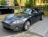 Jaguar XK 4.2L V8 Cabriolet - Leder&Navi&Shz&PDC - Jaguar XK aus 2008