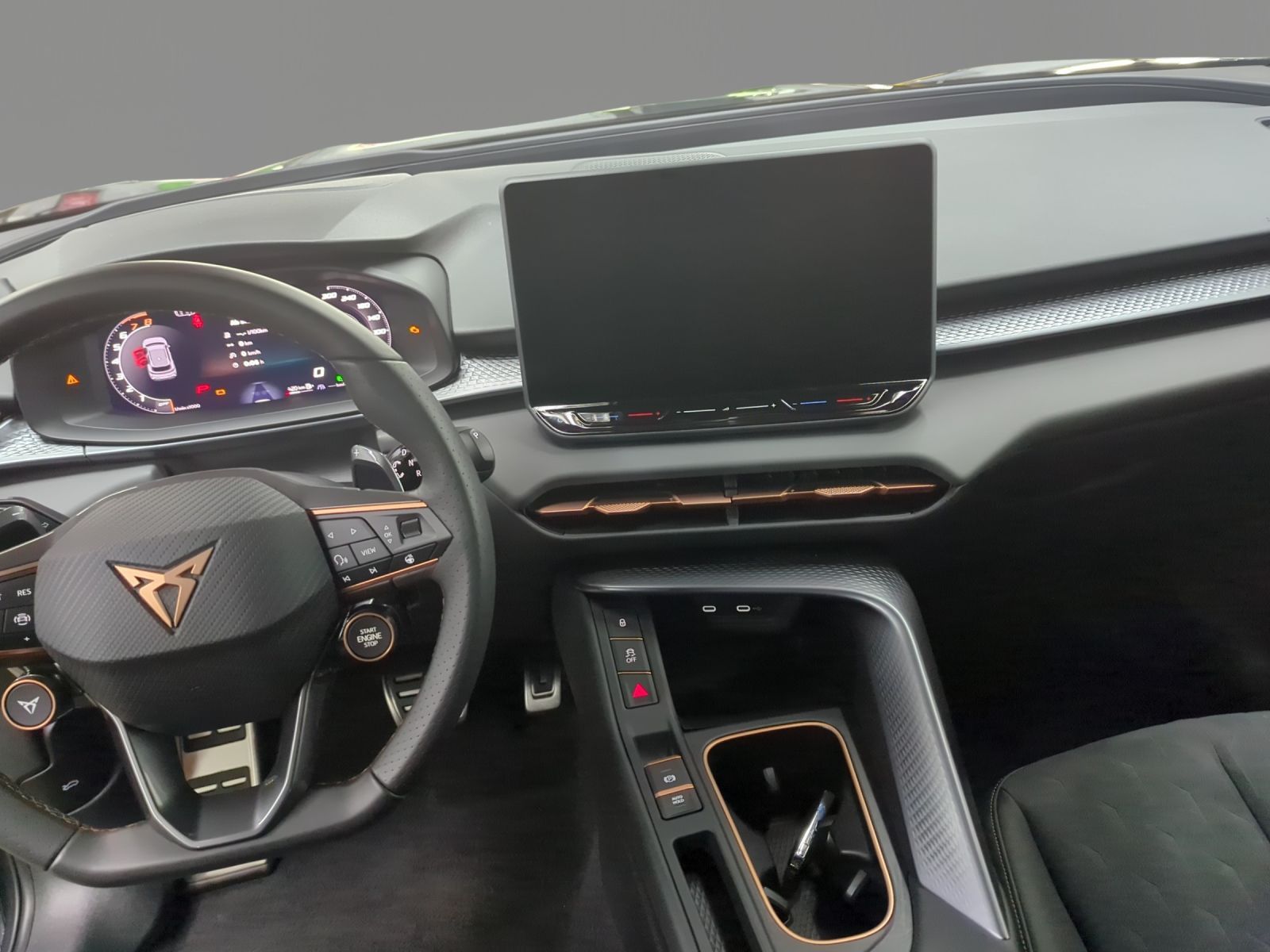 Cupra Terramar - Bild 10