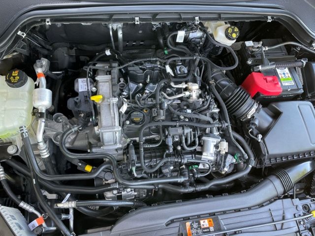 Fahrzeugabbildung Ford Focus 1.0 EcoBoost Mild-Hybrid ST-Line Autom, Ma