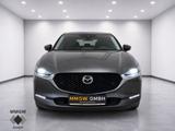 Mazda CX-30 Selection AWD Navi/MemorySitze/LED/ACC/ElH - graue Mazda CX-30
