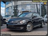 Volkswagen Beetle Fender Edition XENON. FENDER. PDC. TEMP - Volkswagen Beetle: Fender Edition