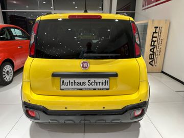 Bild 7 Fiat Panda Pandina Cross