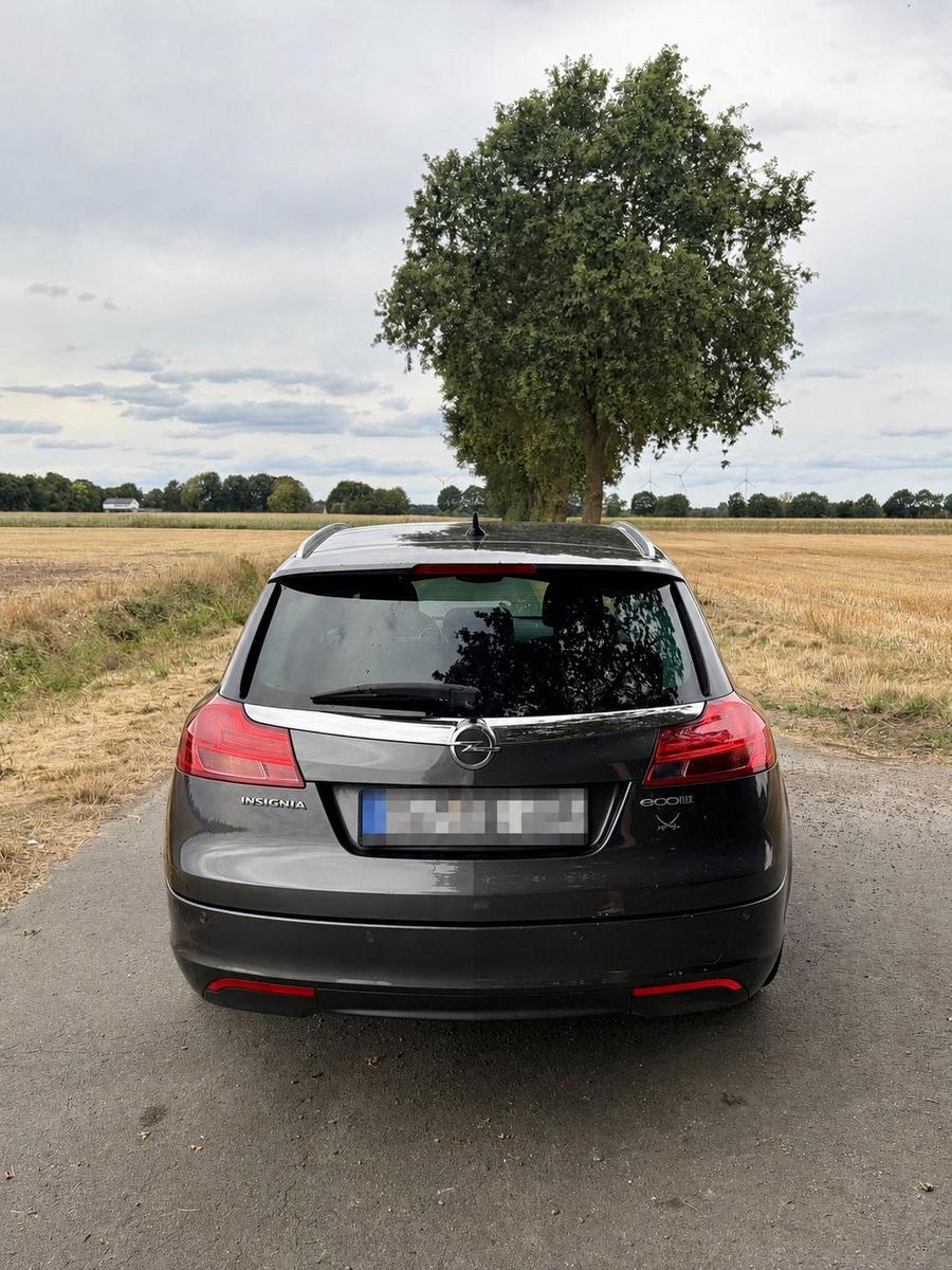 Opel Insignia 2012 — rear view