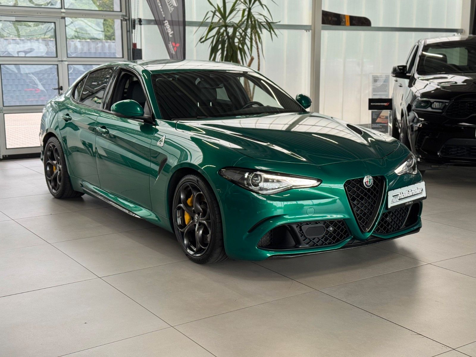 Fahrzeugabbildung Alfa Romeo Giulia 2.9 V6 Quadrifoglio "ACC Komfort-Paket"
