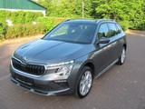 Skoda Kamiq 1.5 TSI ACT DSG Edition Navi AHK SHZ LED - Skoda Kamiq Gebrauchtwagen in Berlin