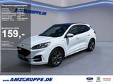 Ford Kuga 2.0 EcoBlue Hybrid ST-Line X PanoDach+AHK+W - Ford Kuga Hybrid (Diesel/Elektro)