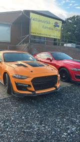 Ford Mustang 2.3 Ecobost Magna Ride Voll Aussta... - Ford Mustang: Limousine