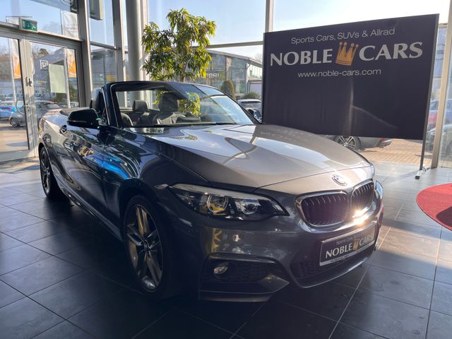 BMW 220 i Cabrio M Sport LED NAVI RFK LHZ