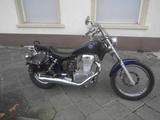 Suzuki LS 650 Savage, TÜV Februar 2028 - SUZUKI LS 650 SAVAGE