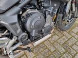 Triumph Trident 660 - Triumph Motorräder in Düsseldorf