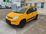 Fiat New PANDA 1,3 MultiJet 95 WILD 4x4 vin 421 - Fiat New Panda: Kleinwagen