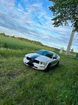 Ford Mustang  - Ford Mustang aus 2005: Coupe