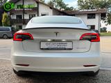 Tesla Model 3 Performance Dual Mwst. Matrix 20" - Tesla Model 3 Gebrauchtwagen