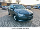 Skoda Fabia Cool Edition 1.Hand EURO 6  8-Fach bereift - Skoda Fabia: Eu