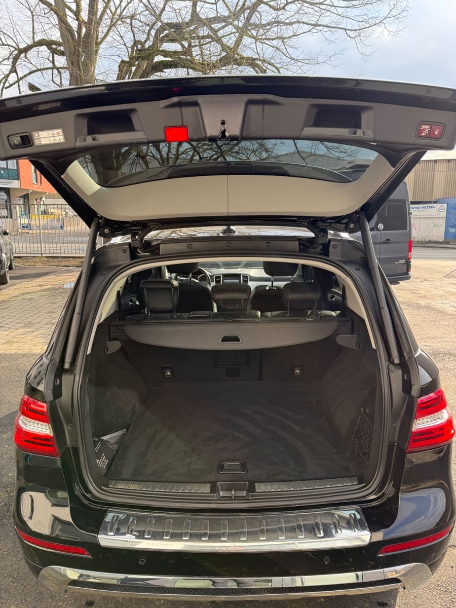 Fahrzeugabbildung Mercedes-Benz ML 500 AMG Line Panorama